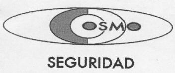 Imagen de COSMO SEGURIDAD