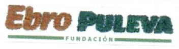 Imagen de EBRO PULEVA FUNDACION