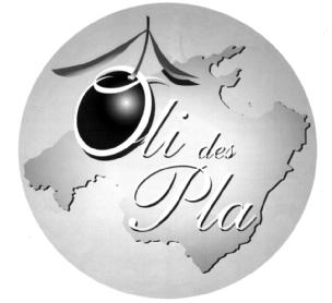 Imagen de OLI DES PLA