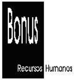Imagen de BONUS RECURSOS HUMANOS