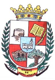 Imagen de AMIGOS DE SANTA AMALIA 1827 1987
