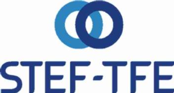 Imagen de STEF-TFE