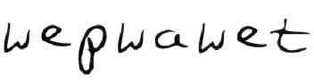 Imagen de WEPWAWET