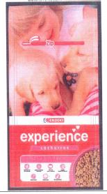 Imagen de EXPERIENCE EROSKI CACHORROS