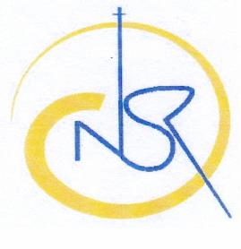 Imagen de NSR