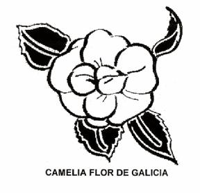 Imagen de CAMELIA FLOR DE GALICIA