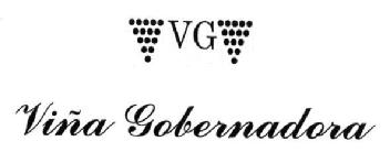 Imagen de VG VIÑA GOBERNADORA