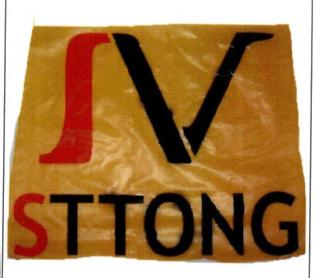 Imagen de IV STTONG