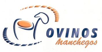Imagen de OVINOS MANCHEGOS