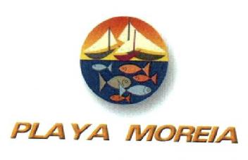 Imagen de PLAYA MOREIA