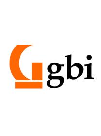 Imagen de GBI