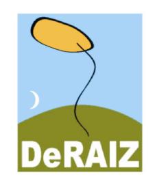 Imagen de DERAIZ