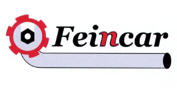 Imagen de FEINCAR