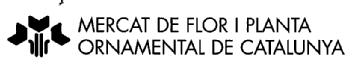Imagen de MERCAT DE FLOR I PLANTA ORNAMENTAL DE CATALUNYA
