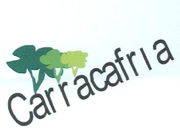Imagen de CARRACAFRIA