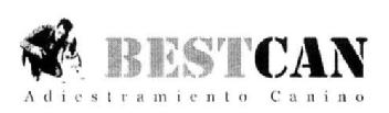 Imagen de BESTCAN ADIESTRAMIENTO CANINO