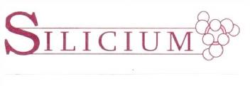 Imagen de SILICIUM