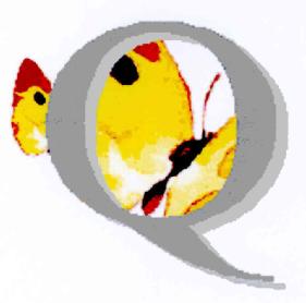 Imagen de Q