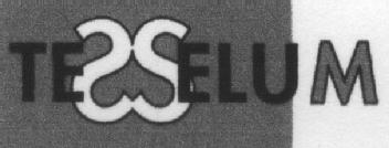 Imagen de TESELUM