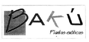 Imagen de BAKU PLANTAS EXOTICAS