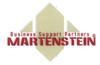 Imagen de BUSINESS SUPPORT PARTNERS MARTENSTEIN