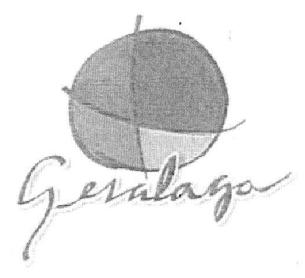 Imagen de GESALAGA