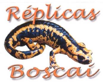 Imagen de REPLICAS BOSCAI