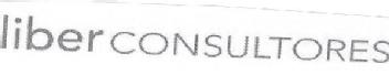 Imagen de LIBER CONSULTORES