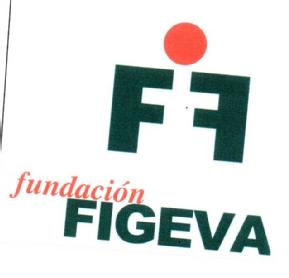 Imagen de FF FUNDACION FIGEVA