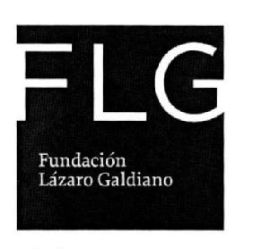 Imagen de FLG FUNDACION LAZARO GALDIANO