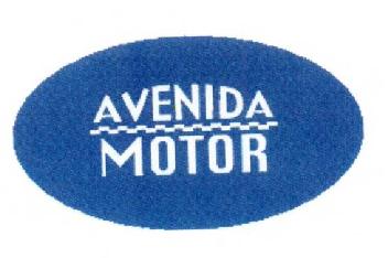 Imagen de AVENIDA MOTOR