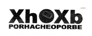 Imagen de XHOXH PORHACHEOPORBE