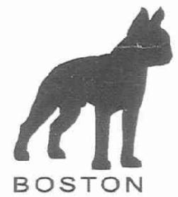 Imagen de BOSTON