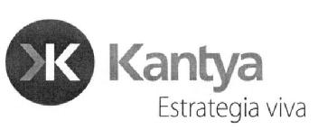 Imagen de KANTYA ESTRATEGIA VIVA