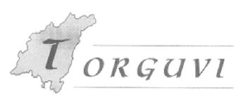 Imagen de TORGUVI