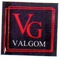Imagen de VG VALGOM