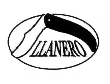 Imagen de LLANERO