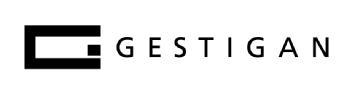 Imagen de GESTIGAN