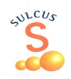 Imagen de SULCUS S