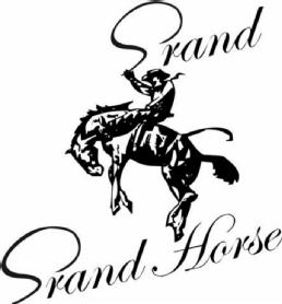 Imagen de GRAND HORSE