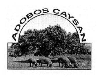 Imagen de ADOBOS CAYSAN