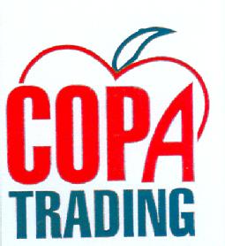 Imagen de COPA TRADING