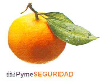 Imagen de PYMESEGURIDAD