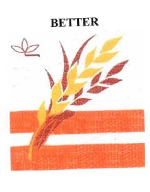 Imagen de BETTER
