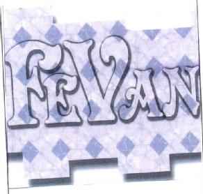 Imagen de FEVAN