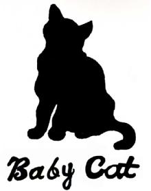 Imagen de BABY CAT