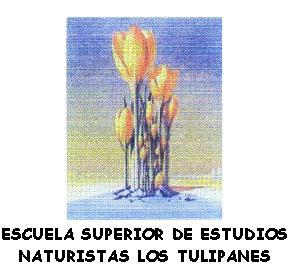 Imagen de ESCUELA SUPERIOR DE ESTUDIOS NATURISTAS LOS TULIPANES