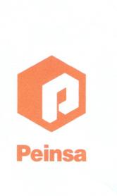 Imagen de PEINSA