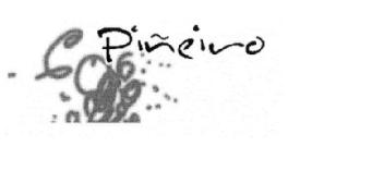 Imagen de PIÑEIRO
