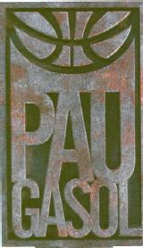 Imagen de PAU GASOL